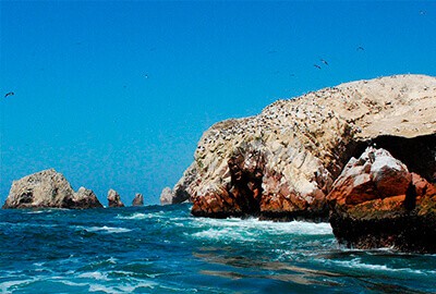 Ballestas Islands & Paracas National Reserve 1 Day